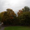 Oktober 9a 005 600X600.jpg