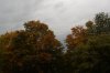 Oktober 9a 006 600X399.jpg