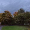 Oktober 9a 007 600X600.jpg