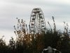 PICT0021.jpg