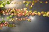 0063_G.sized.jpg