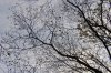 Oktober 9b 001 450X301.jpg
