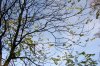 Oktober 9b 005 450X300.jpg
