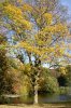Oktober 9b 046 299X450.jpg