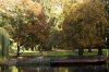 Oktober 9b 017 600X397.jpg