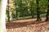 Oktober 9b 029 600X399.jpg