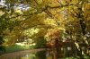Oktober 9b 055 600X400.jpg