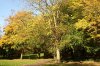 Oktober 9b 052 600X397.jpg