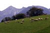 OberwÃ¶ssen 049 600X399.jpg