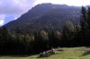 OberwÃ¶ssen 105 600X400.jpg