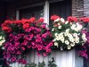 050708_130458.jpg