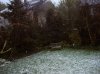 November 9 004 600X449.jpg
