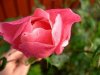 DSCN2256.JPG