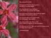 gedicht2.jpg