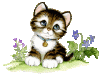 54.gif