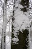 Krippe 2005 022 336X500.jpg