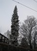 winter4.JPG