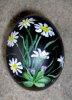 Gaenseblumen b2006.JPG