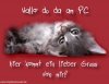 ehxjdi.jpgKatze sagt Hallo du da.jpg