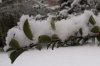 MÃ¤rz-Schnee 010 500X333.jpg