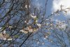 FrÃ¼hling.jpg