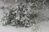 Schnee 0004.JPG
