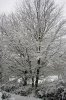Schnee 0005.JPG