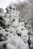 Schnee 0010.JPG