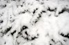 MÃ¤rz-Schnee 006 500X333.jpg