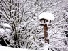 vogelhaus im schnee.jpg