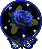grosse blaue rose.gif
