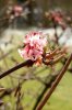 MÃ¤rz 016 333X500.jpg