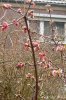 MÃ¤rz 017 333X500.jpg