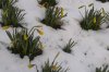 Kopie vonKopie vonWinter 066 600X400.jpg