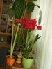 P1010001.JPG