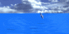 delfin.gif
