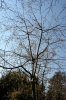 FrÃ¼hling 0013.JPG