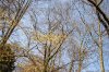 FrÃ¼hling 0015.JPG