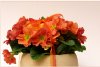 Blumen zum Geburtstag2.jpg