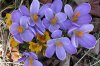 FrÃ¼hling 0019.JPG