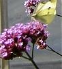 Botanischer Garten 0005.JPG