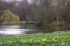 FrÃ¼hling 0038.jpg