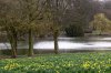 FrÃ¼hling 0040.jpg