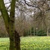 FrÃ¼hling 0041.jpg