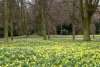 FrÃ¼hling 0044.jpg