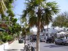 Key West2006 (18).JPG