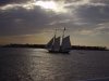 Key West2006 (39).JPG