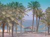 sinai , refah 012.jpg