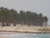 sinai , refah 038.jpg