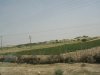 sinai , refah 044.jpg